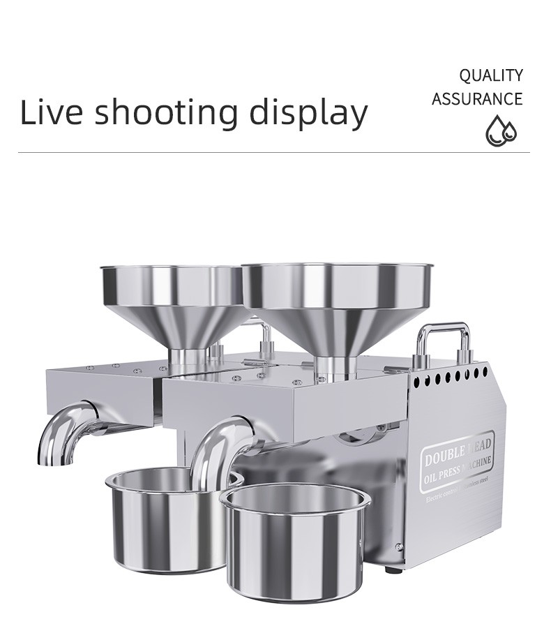 Double-headed B02 Stainless Steel Oil Presser Automatic Home/Commercial peanut Oil Press Machine
